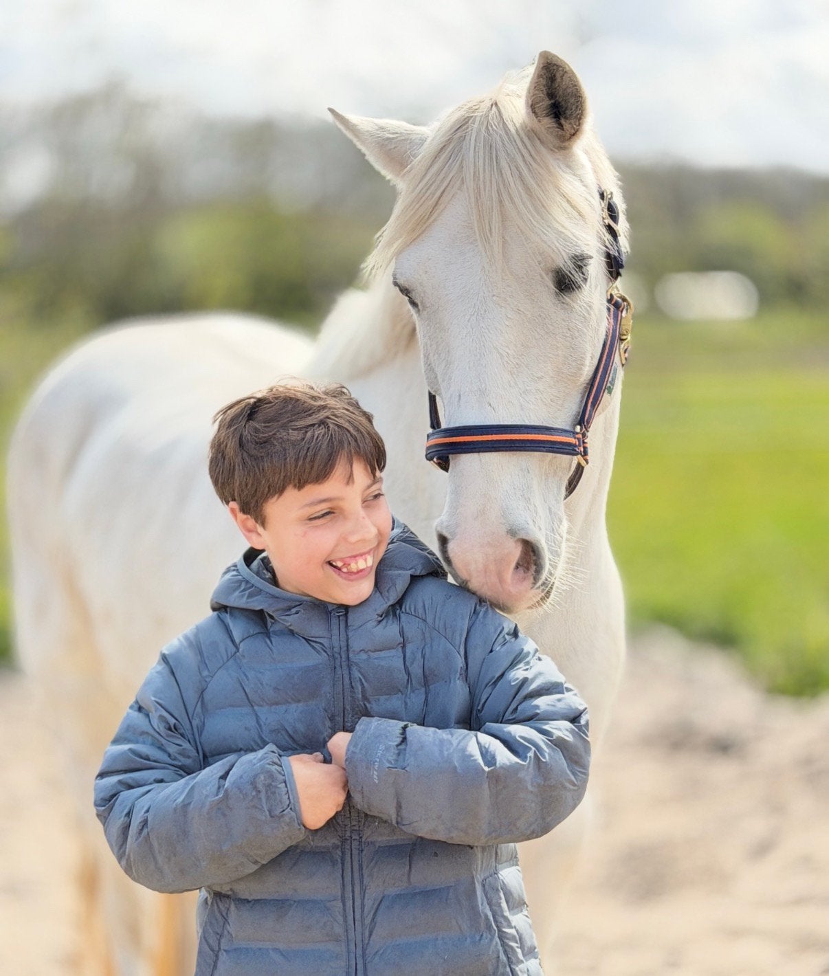 Bijzonder lieve merrie van 6 jaar, 1.45m!!!