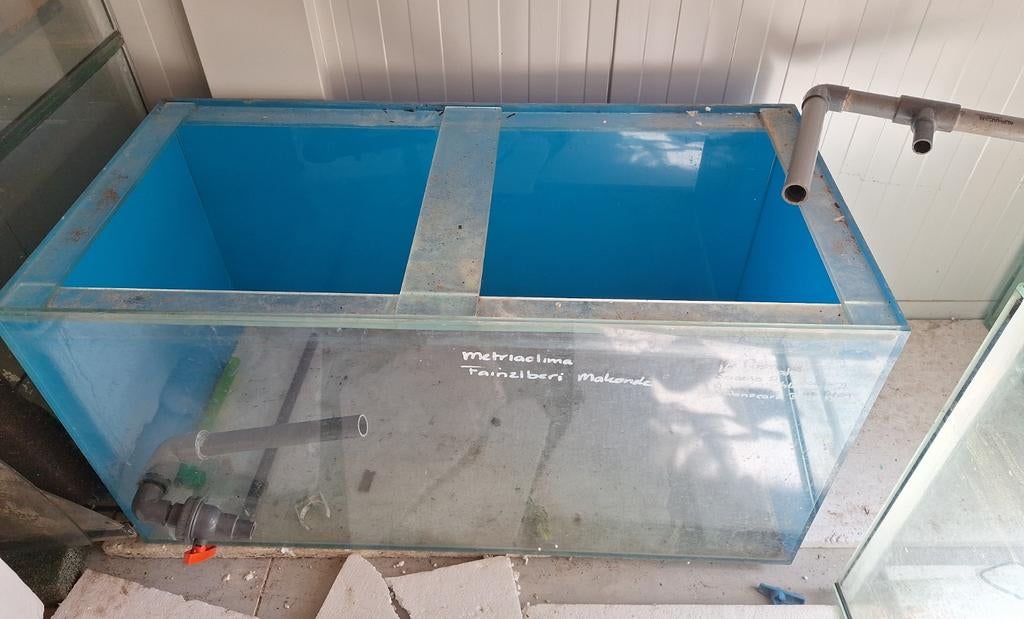 Aquarium 100x50x50 cm, Ophalen, Zo goed als nieuw