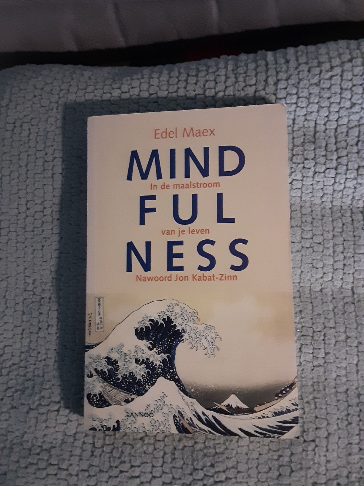 Edel Maex-----Mindfulness, Achtergrond en Informatie, Spiritualiteit algemeen, Zo goed als nieuw, Edel Maex