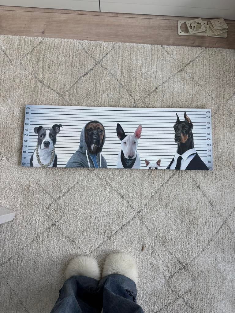Schilderij (honden mugshot), Ophalen, Zo goed als nieuw, Schilderij, Minder dan 50 cm