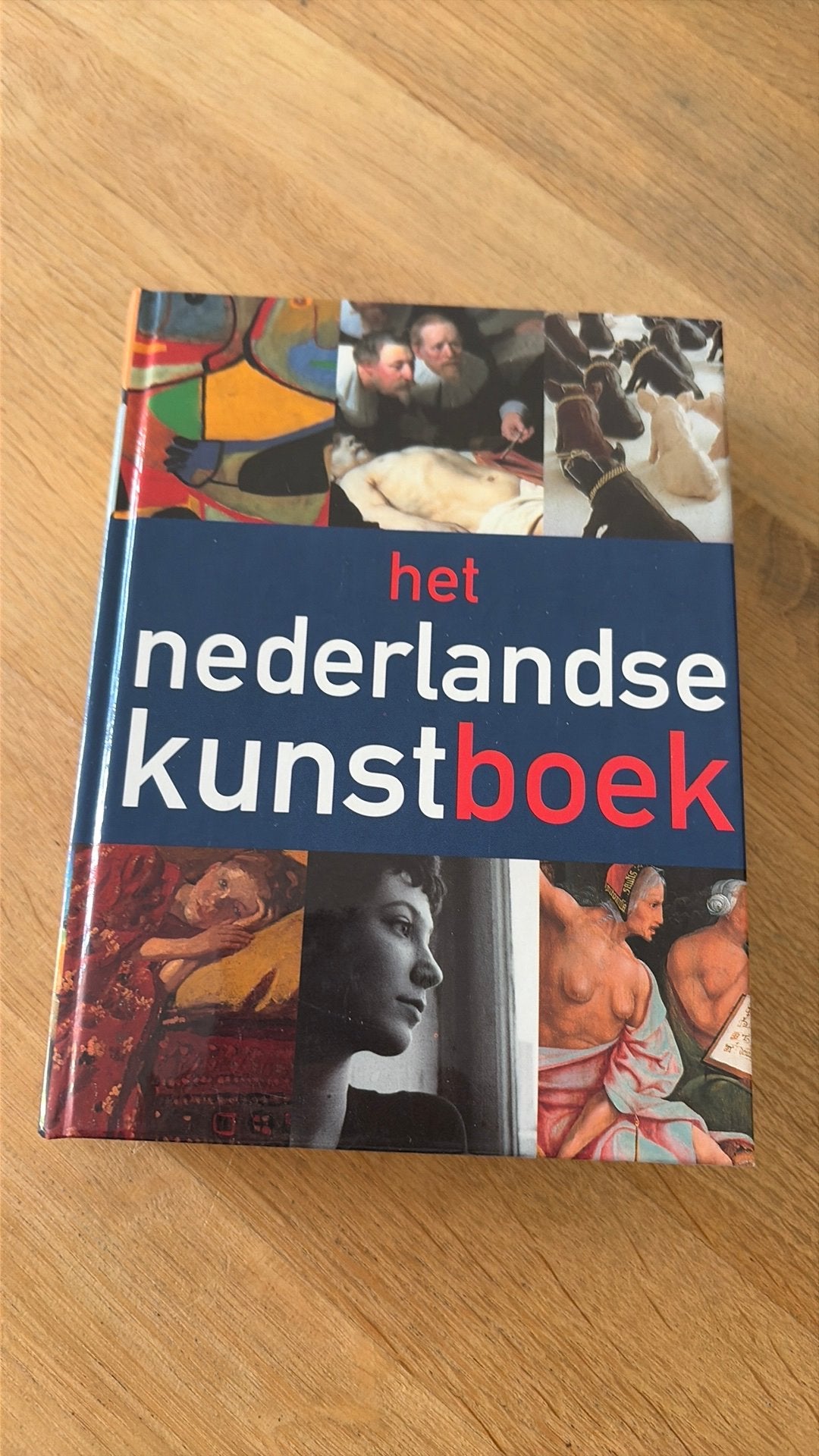 Het Nederlandse Kunstboek - Richard Fernhout - Colin Huizing, Boeken, Ophalen of Verzenden, Zo goed als nieuw, Schilder- en Tekenkunst