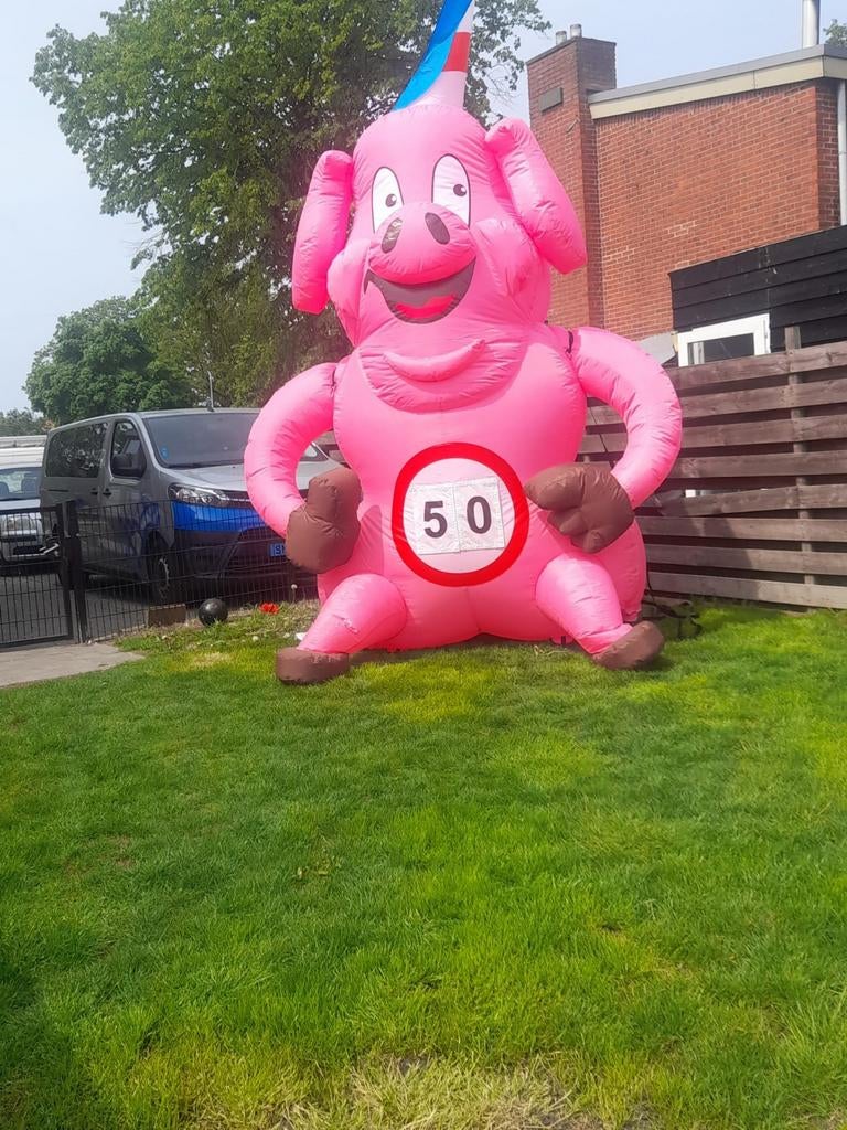 Te Huur feestvarken, Ophalen, Nieuw, Verjaardag