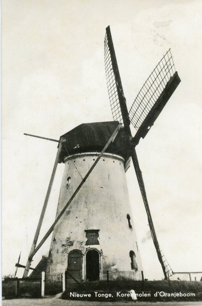 nieuwe tonge molen Ansichtkaart, Verzamelen, Ansichtkaarten | Nederland, Ophalen of Verzenden, 1960 tot 1980
