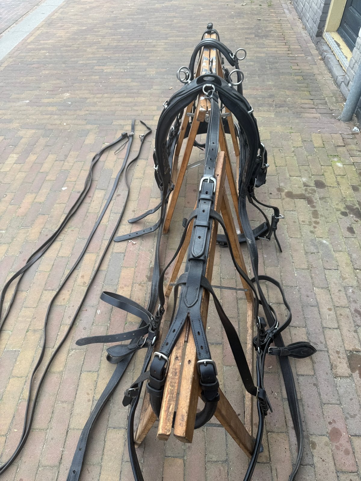 IDEAL Enkelspan tuig, Dieren en Toebehoren, Paarden en Pony's | Hoofdstellen en Tuigage, Ideal Equestrian, Ophalen of Verzenden