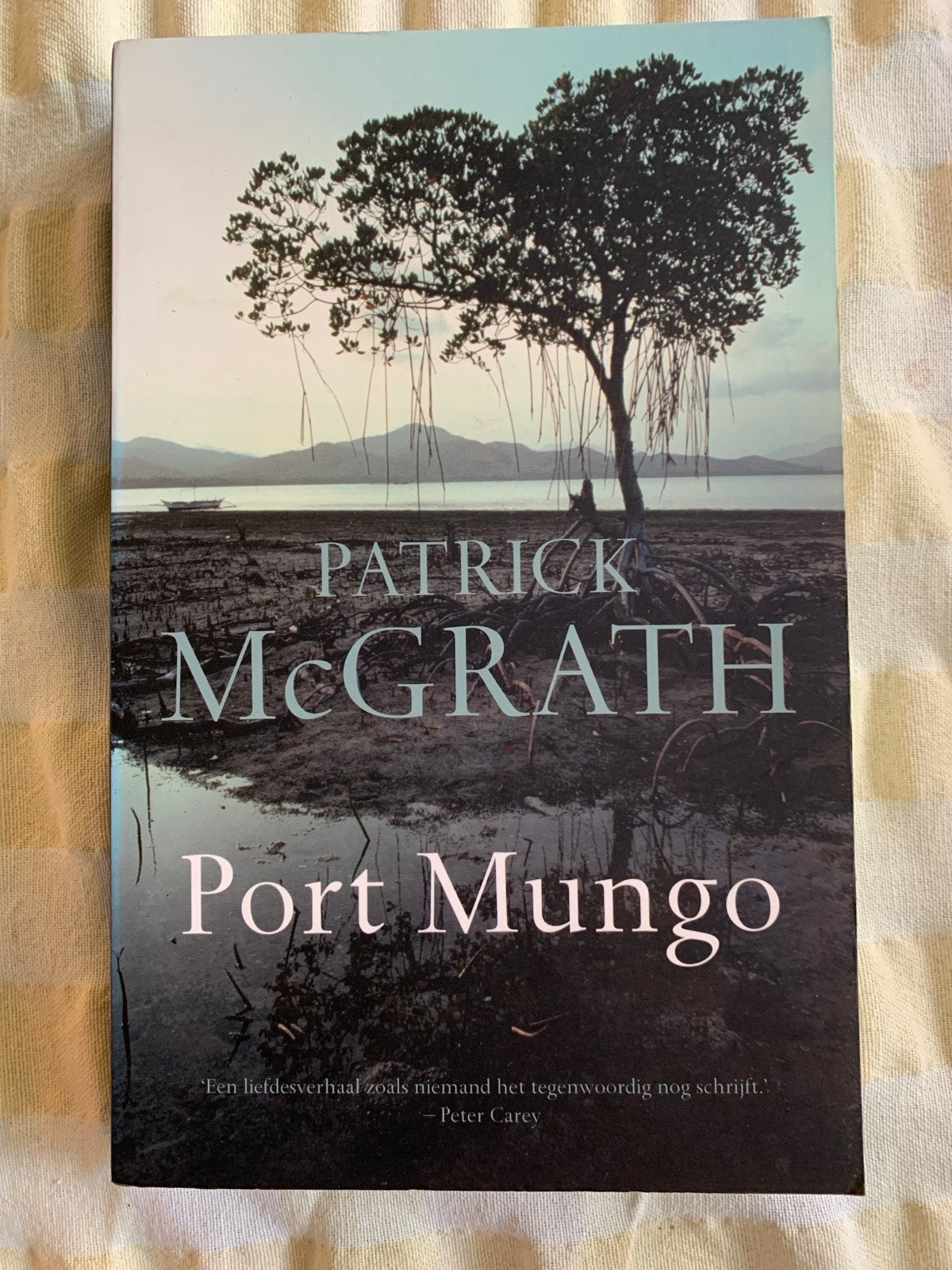 Port Mungo - Patrick McGrath (roman), Ophalen of Verzenden, Zo goed als nieuw, Nederland