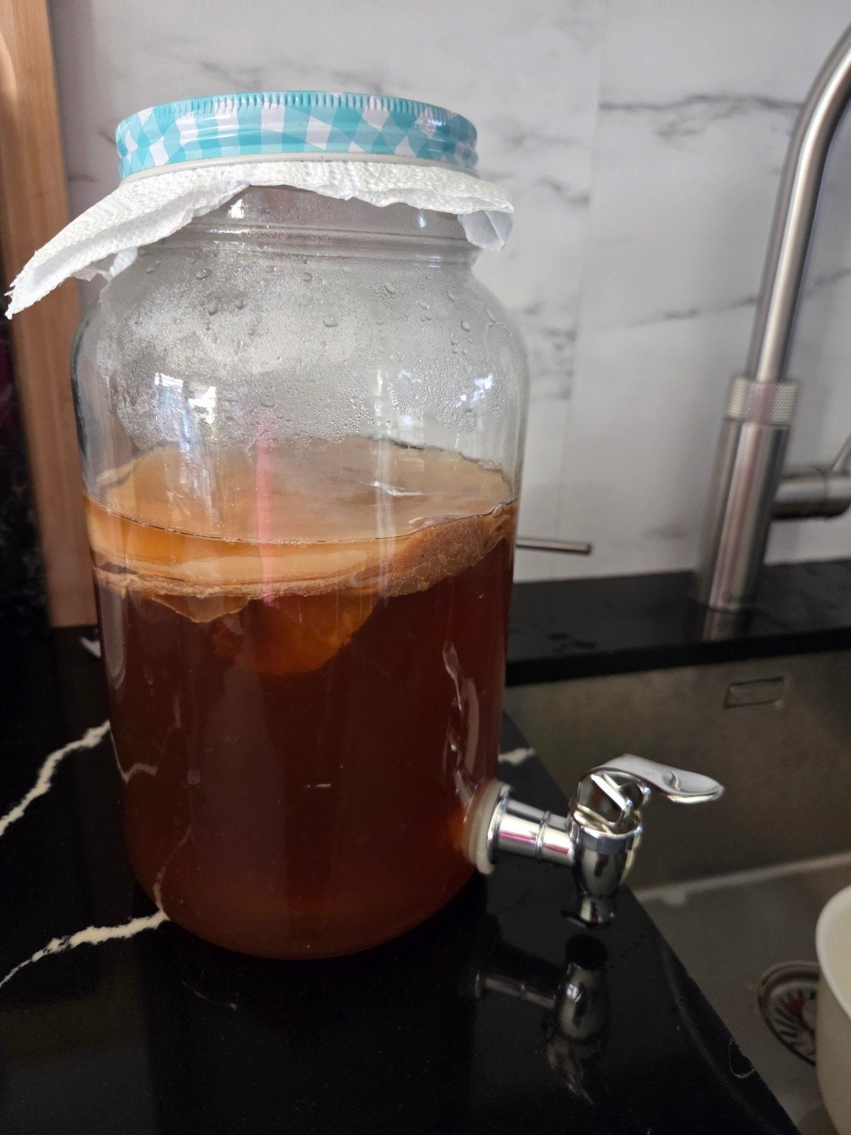 Kombucha Fermentatiepot met tapkraan - inclusieF SCOBY, Ophalen of Verzenden, Meerkleurig, Glas, Overige typen