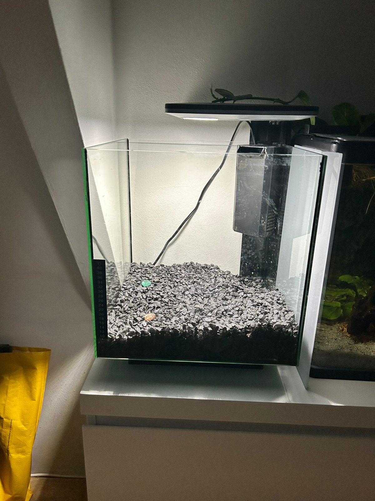 Complete Superfish Aquarium, Dieren en Toebehoren, Ophalen, Zo goed als nieuw, Leeg aquarium, Inclusief planten