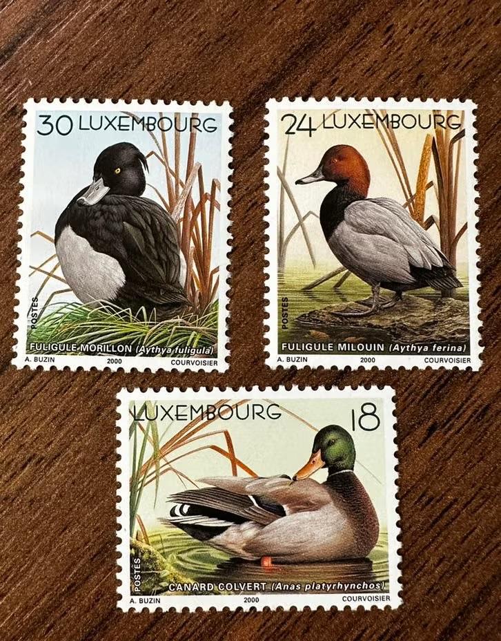 Luxemburg 2000 vogels eenden - Watervogels, Ophalen of Verzenden, Luxemburg, Postfris