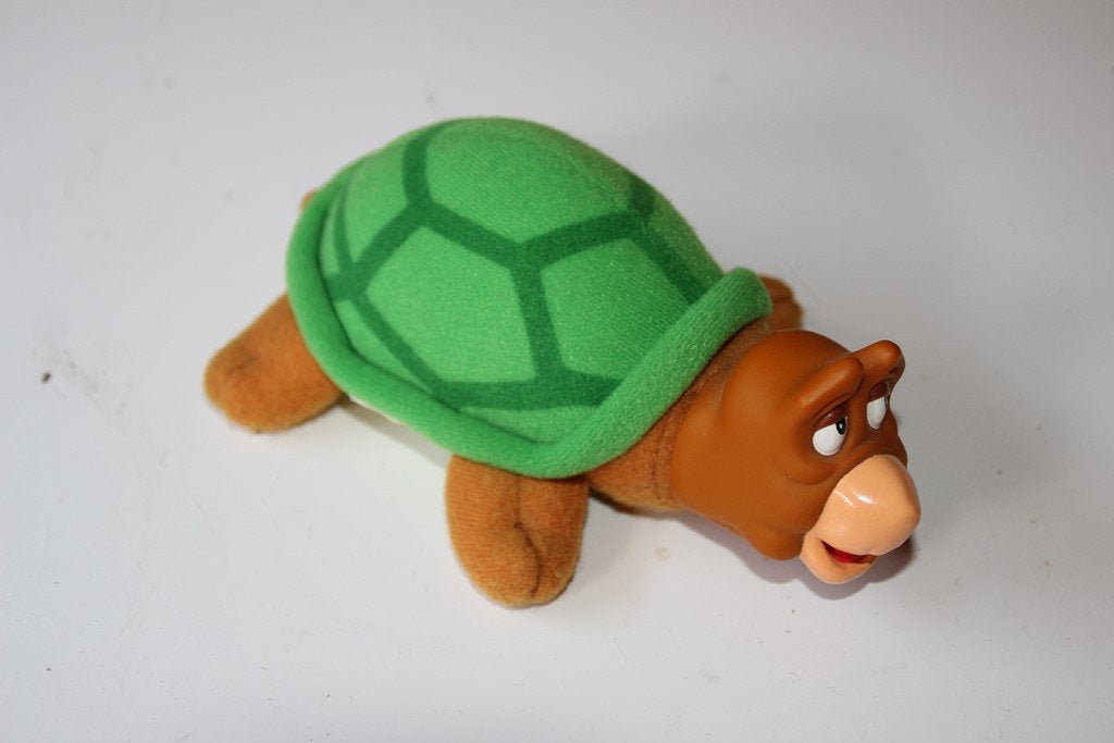 schildpad (z.g.a.n), Ophalen of Verzenden, Gebruikt, Overige typen