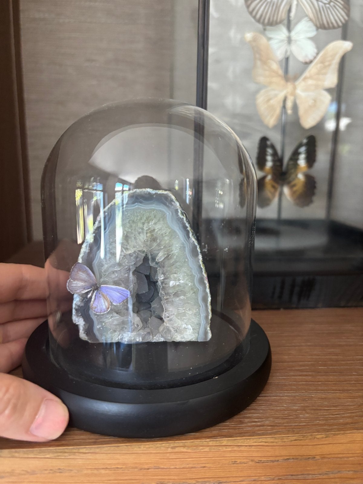 Geode met vlinder in glazen stolp, Ophalen of Verzenden, Mineraal