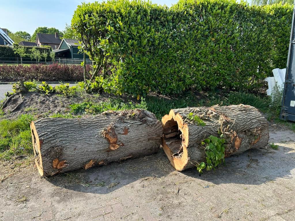 Holle boomstam Lindeboom - Decoratief hout, Tuin en Terras, Minder dan 3 m³, Ophalen of Verzenden