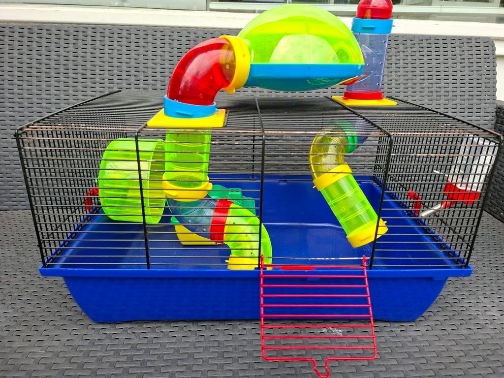 Mooie kleurrijke, complete hamsterkooi voor dwerghamster, Minder dan 60 cm, Kooi, Gebruikt, Minder dan 75 cm