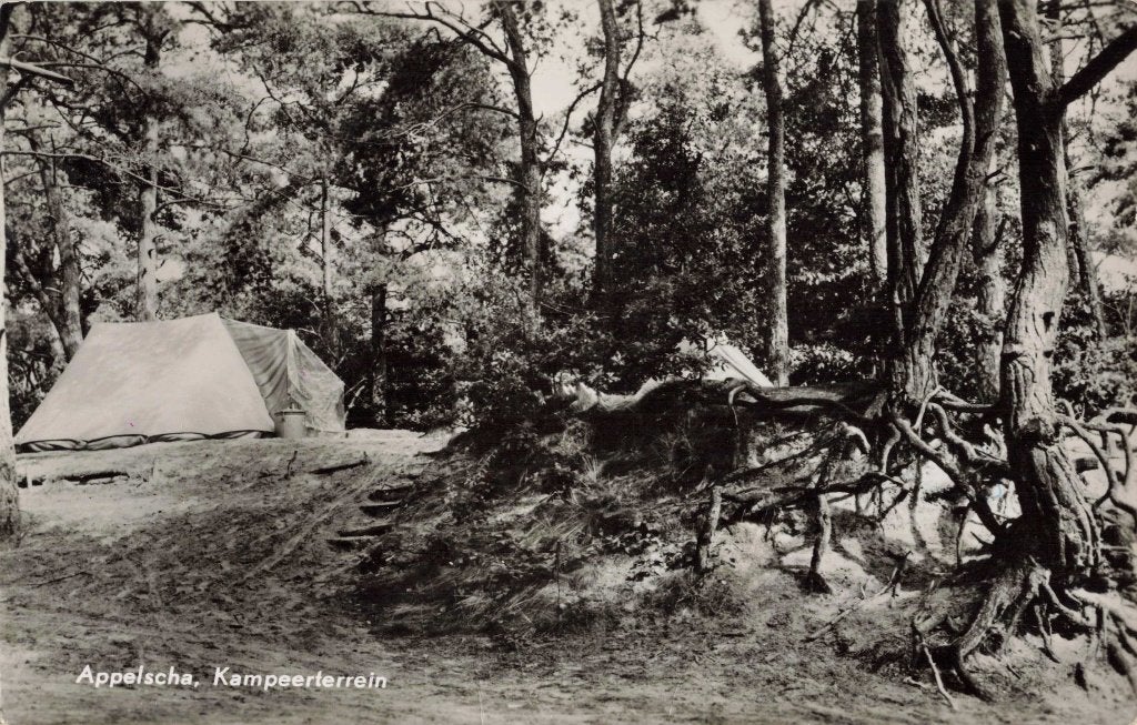 Appelscha Kampeerterrein L2992, Ophalen, 1960 tot 1980, Gelopen, Friesland