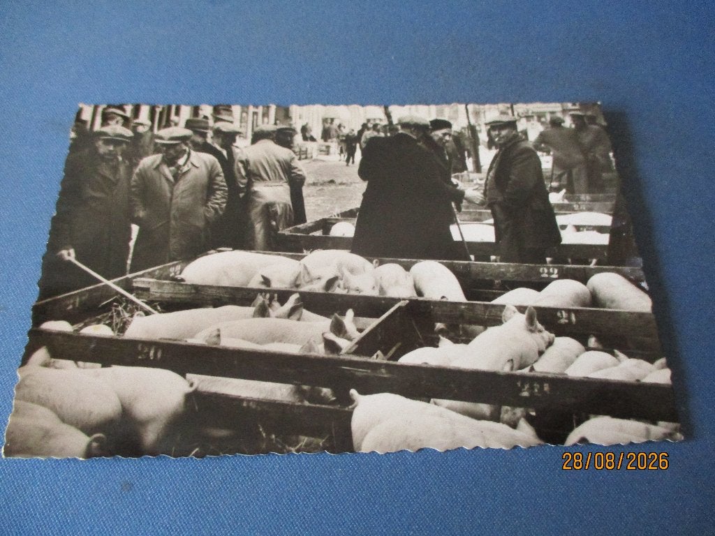 Purmerend (1956), Verzamelen, Ophalen of Verzenden, Voor 1920, Noord-Holland