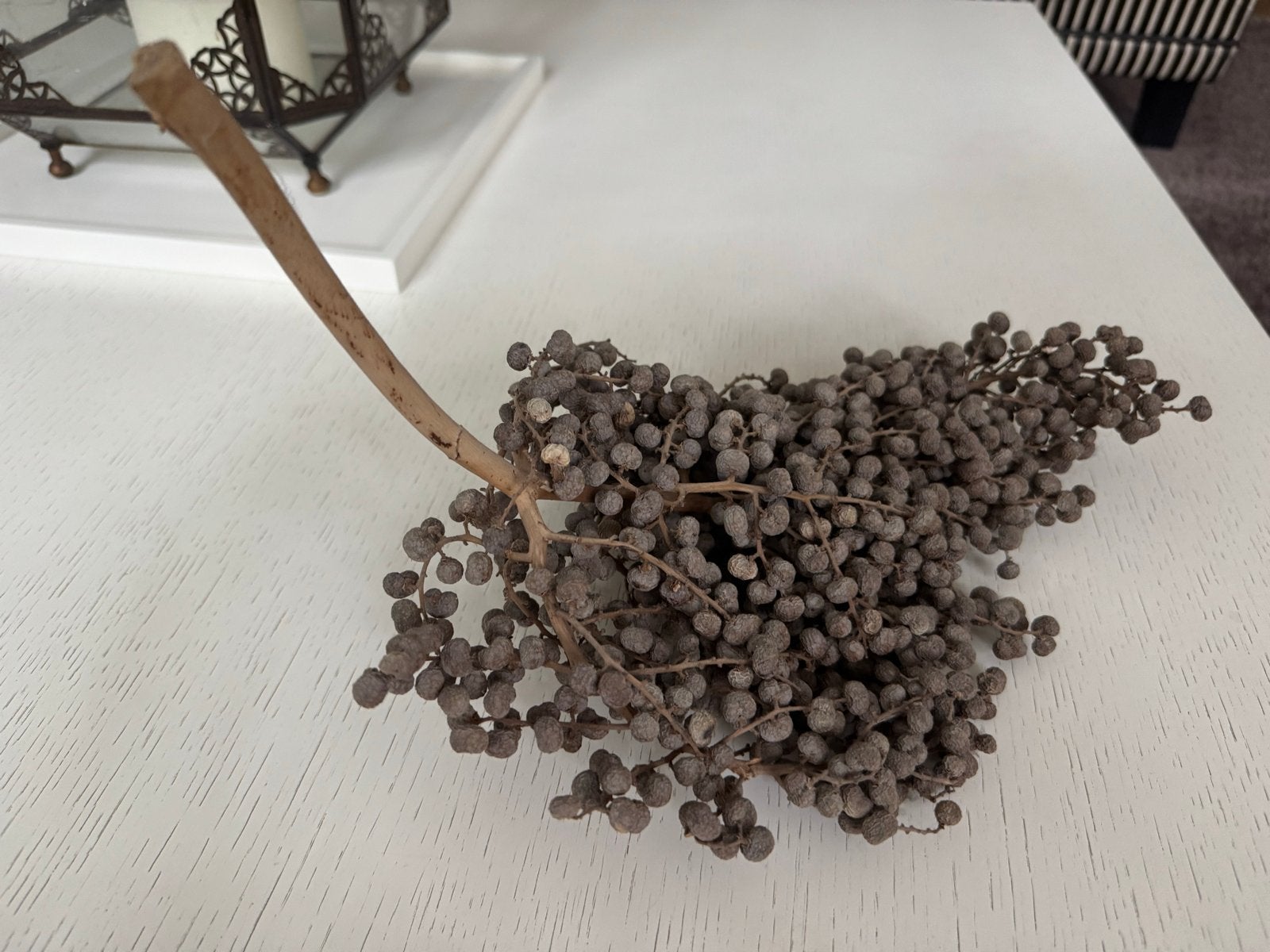 Decoratieve gedroogde bessen tak, Ophalen of Verzenden, Gebruikt
