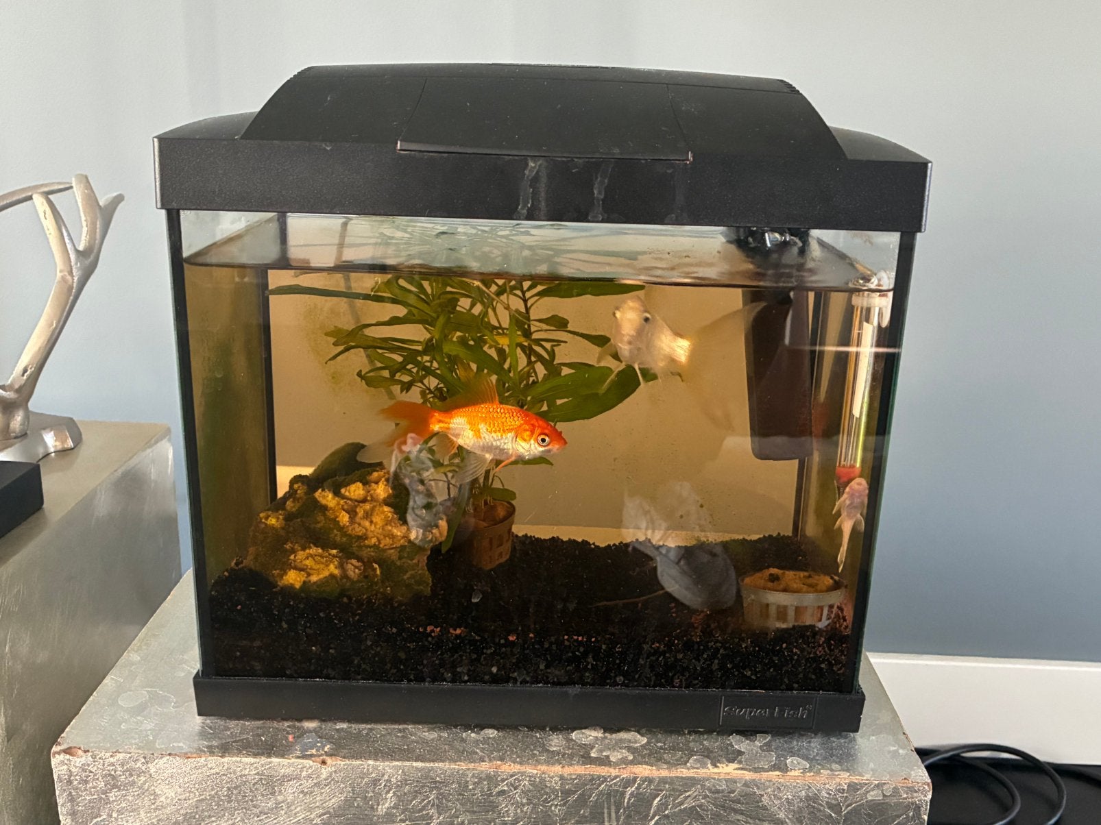 Compleet SuperFish Start 20 Aquarium (16L) – Complete set!, Ophalen, Nieuw, Leeg aquarium, Inclusief deksel