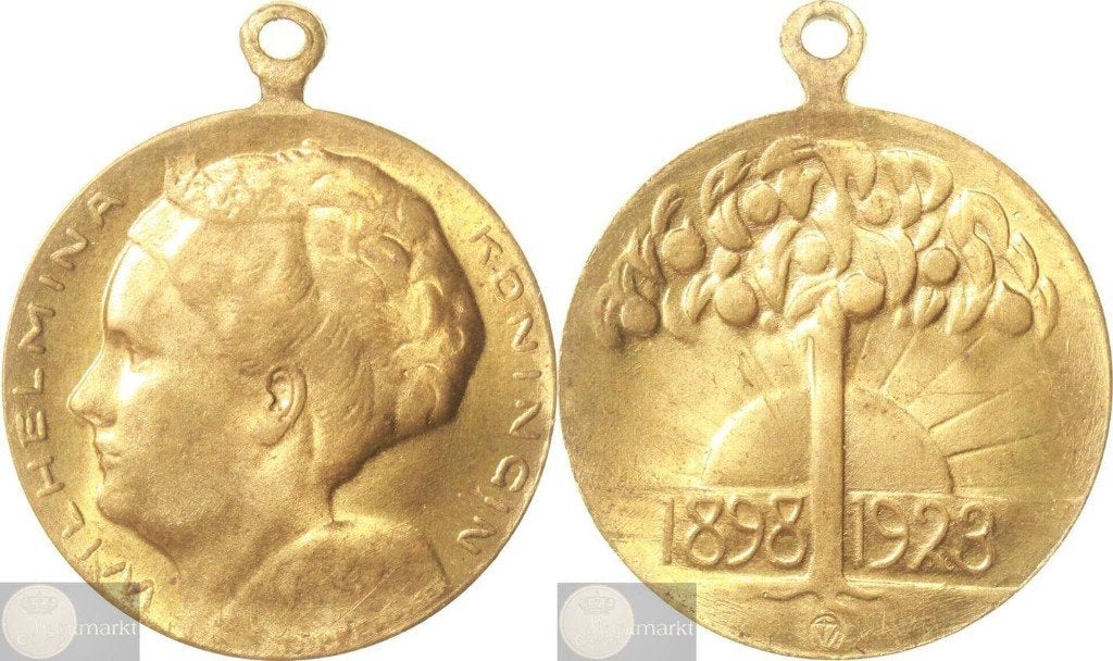 Draagpenning 1923 '25-Jarig Regeringsjubileum Wilhelmina', Postzegels en Munten, Ophalen of Verzenden, Overige materialen, Nederland