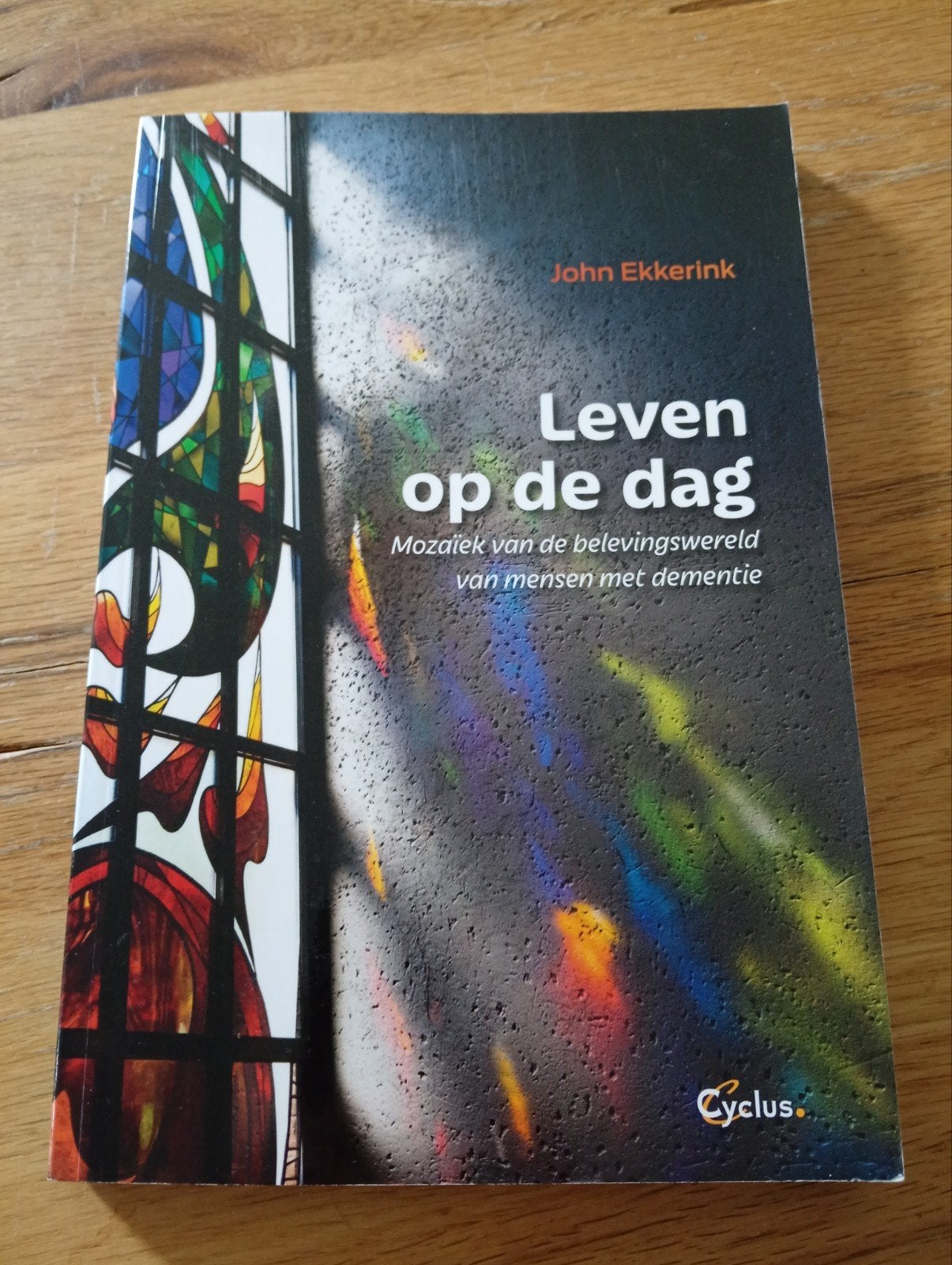 Leven op de dag - Mozaïek van de belevingswereld, Boeken, Ophalen of Verzenden, Zo goed als nieuw, John Ekkerink