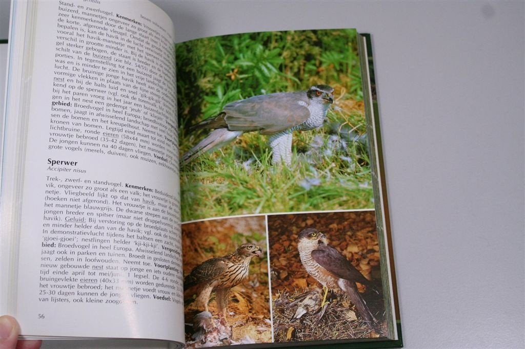 Complete Vogelgids — Kenmerken, verspreiding, voortplanting, Boeken, Ophalen of Verzenden, Zo goed als nieuw, Paarden of Pony's