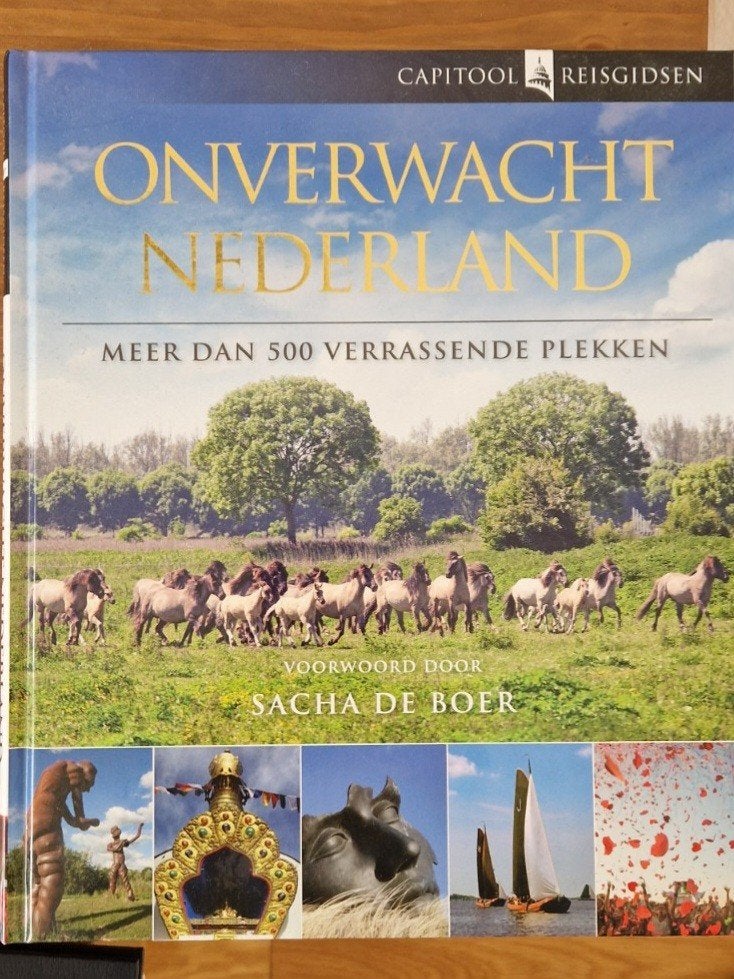 Onverwacht Nederland- Capitool reisgids, Boeken, Reisgidsen, Capitool, Nieuw, Ophalen of Verzenden, Reisgids of -boek