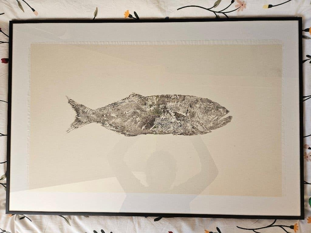 Inktafdruk van echte vis, Japanse techniek, Antiek en Kunst, Ophalen, Ingelijst, Overige techniek, Dieren en Natuur
