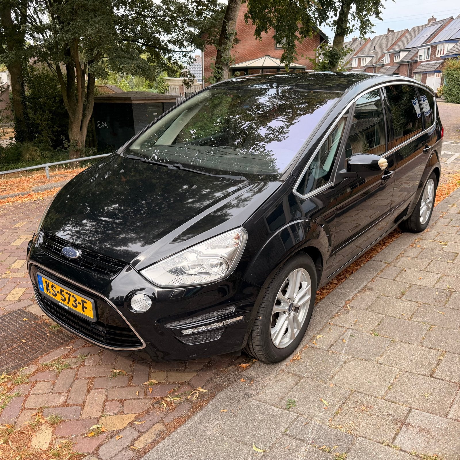 Ford S-Max 2.0 Titanium 203 pk  7Pers. Automaat, Auto diversen, Ophalen
