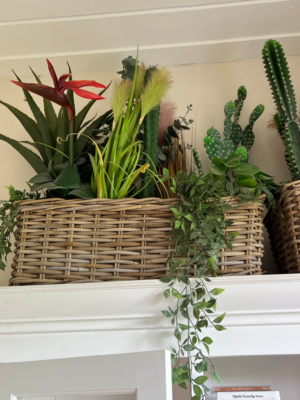 Mand met diverse kunstplanten (cactussen, agave), Ophalen, Binnen, Groen, Kunstplant