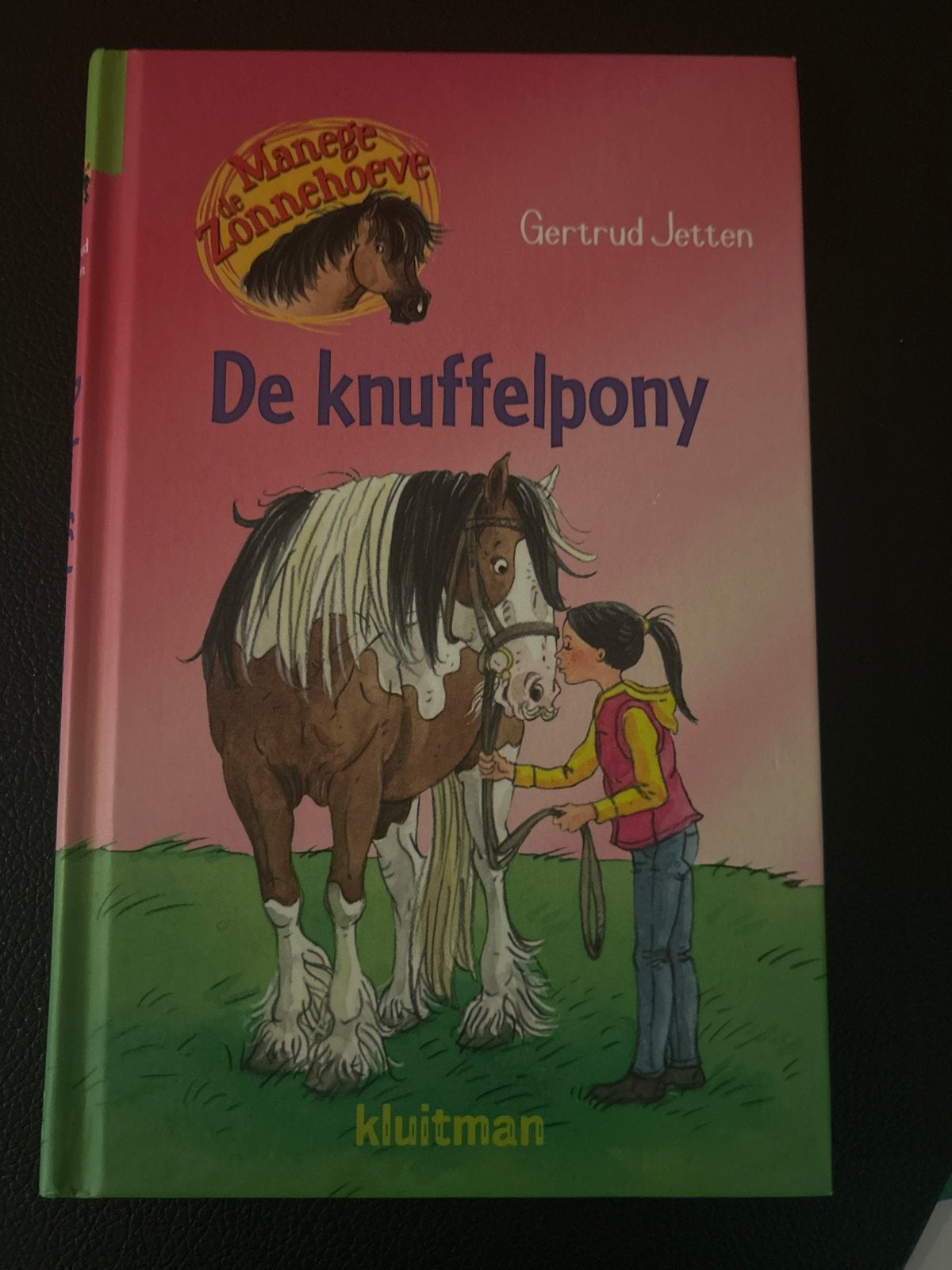 De knuffelpony - Manegeserie Zonnehoeve, Boeken, Ophalen of Verzenden, Gelezen, Fictie algemeen