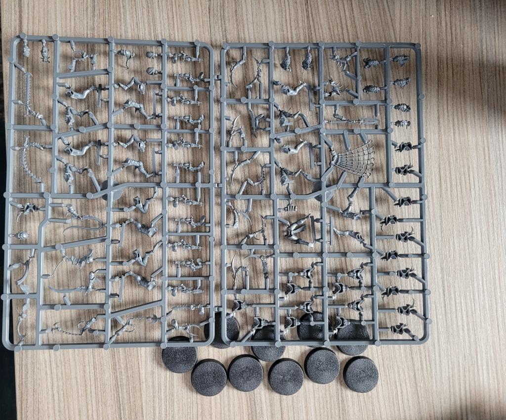 Warhammer 40k - Drukhari/Dark Eldar 10x Wyches op sprue, Hobby en Vrije tijd, Wargaming, Ophalen of Verzenden, Nieuw, Warhammer