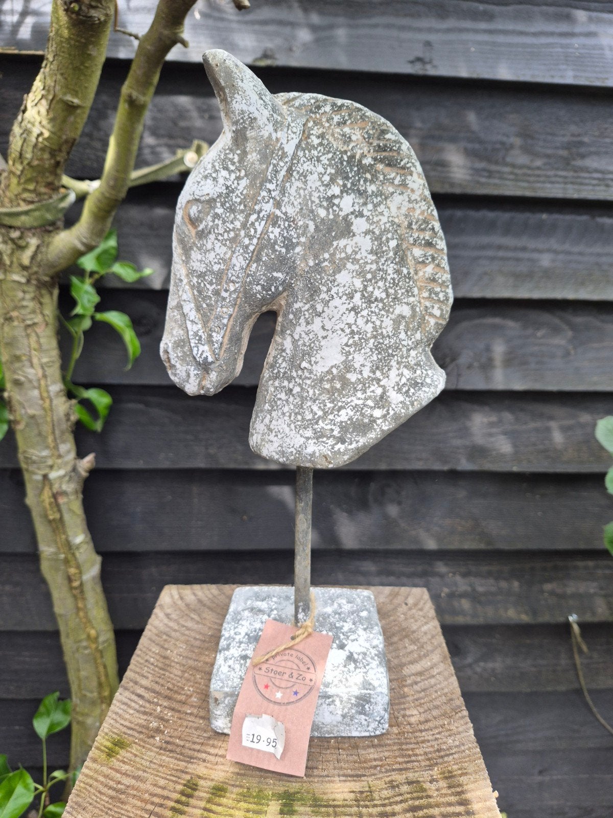 Paardenhoofd op sokkel - Beton, Zoogdier, 20 - 50 cm, Steen of Keramiek, Beeld
