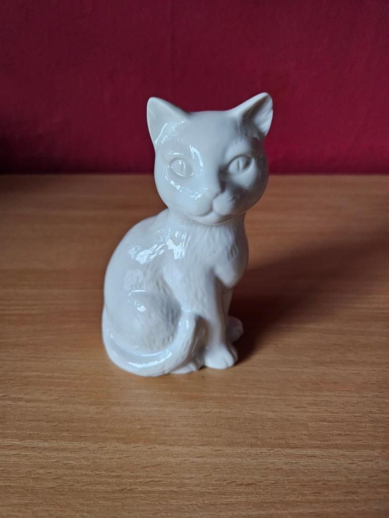 Kattenbeeld poezenbeeld, Ophalen of Verzenden, Gebruikt, Dier