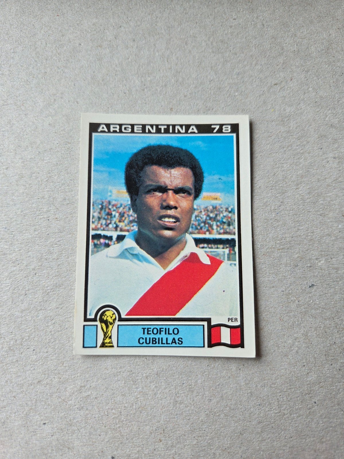Panini WK 78, Ophalen of Verzenden, Zo goed als nieuw, Buitenlandse clubs, Poster, Plaatje of Sticker