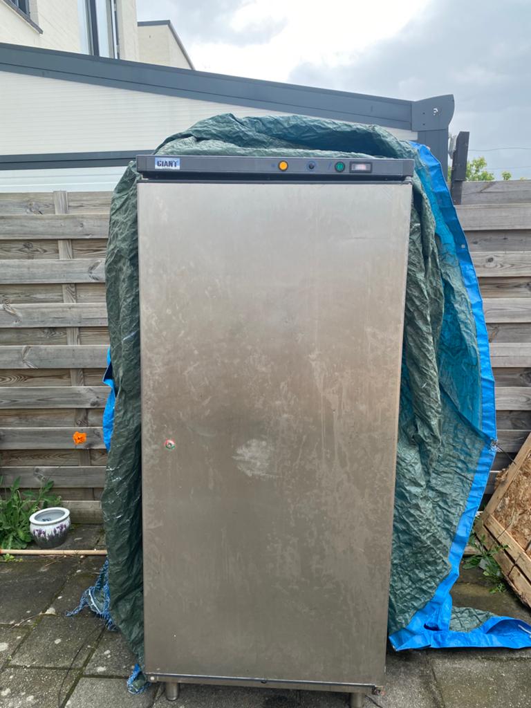 Professionele Vriezer - Giant Vrieskast, Vrieskast, Gebruikt, 160 cm of meer, Ophalen of Verzenden