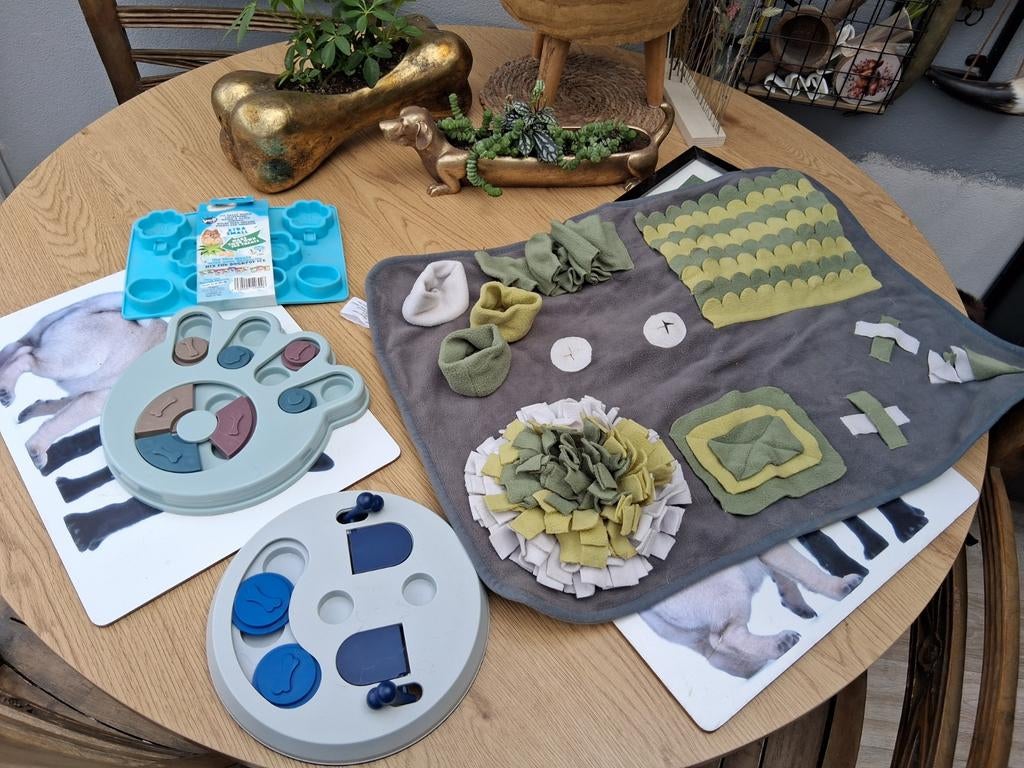 Leuke denkspelletjes voor de honden, Ophalen
