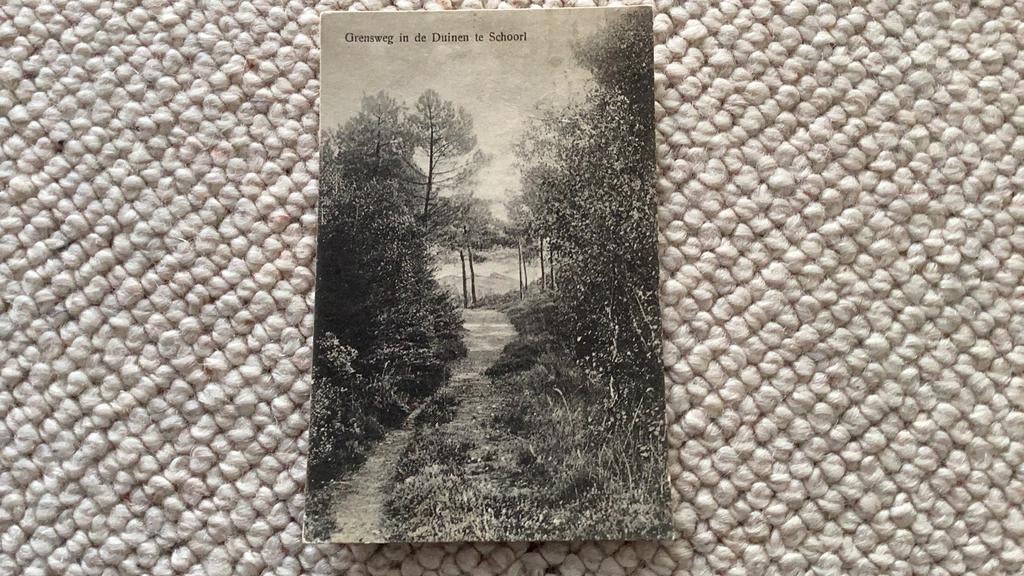 Ansichtkaart Grensweg in de Duinen van Schoorl 1925. 971, Ophalen of Verzenden, 1920 tot 1940, Gelopen, Noord-Holland