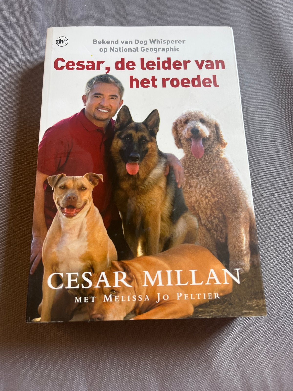Cesar Millan - Cesar, de leider van het roedel (Hondenboek), Ophalen of Verzenden, Gelezen, Honden