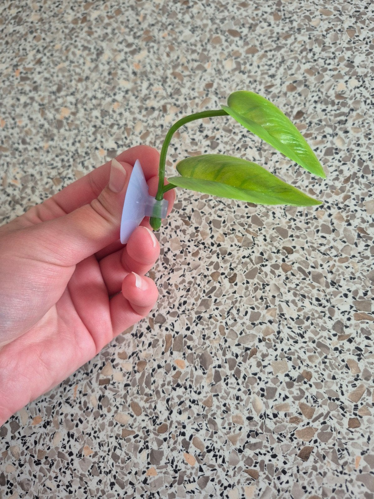 Plastic rust plant voor in het aquarium met zuignap, Ophalen of Verzenden, Plant(en), Steen of Hout