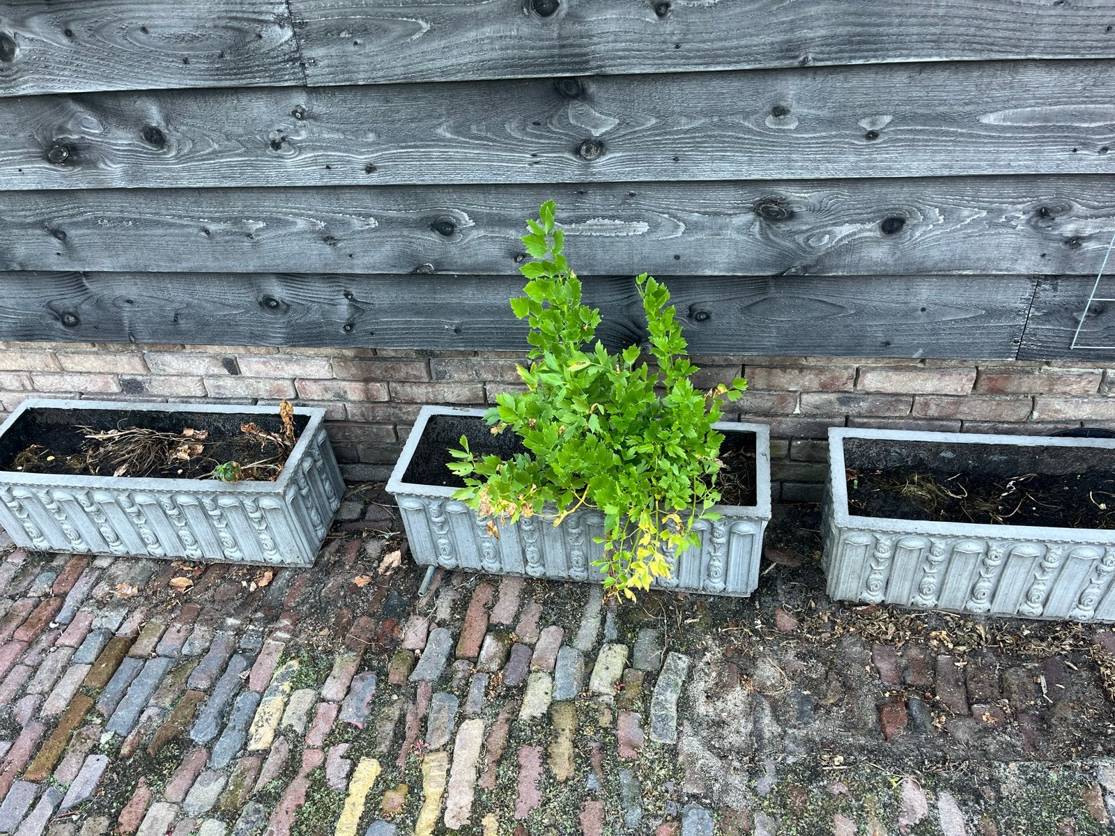 Set van 4x plantenbakken, Ophalen, Kunststof, Gebruikt, Minder dan 30 cm