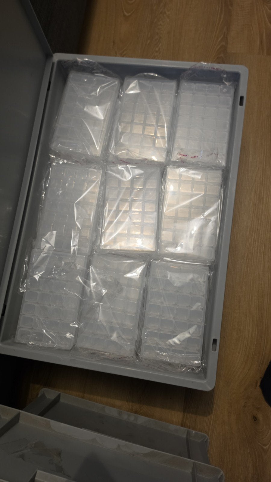 Opbergdoos met 28 vakjes (vandaag 1.50 ps), Ophalen of Verzenden, Nieuw
