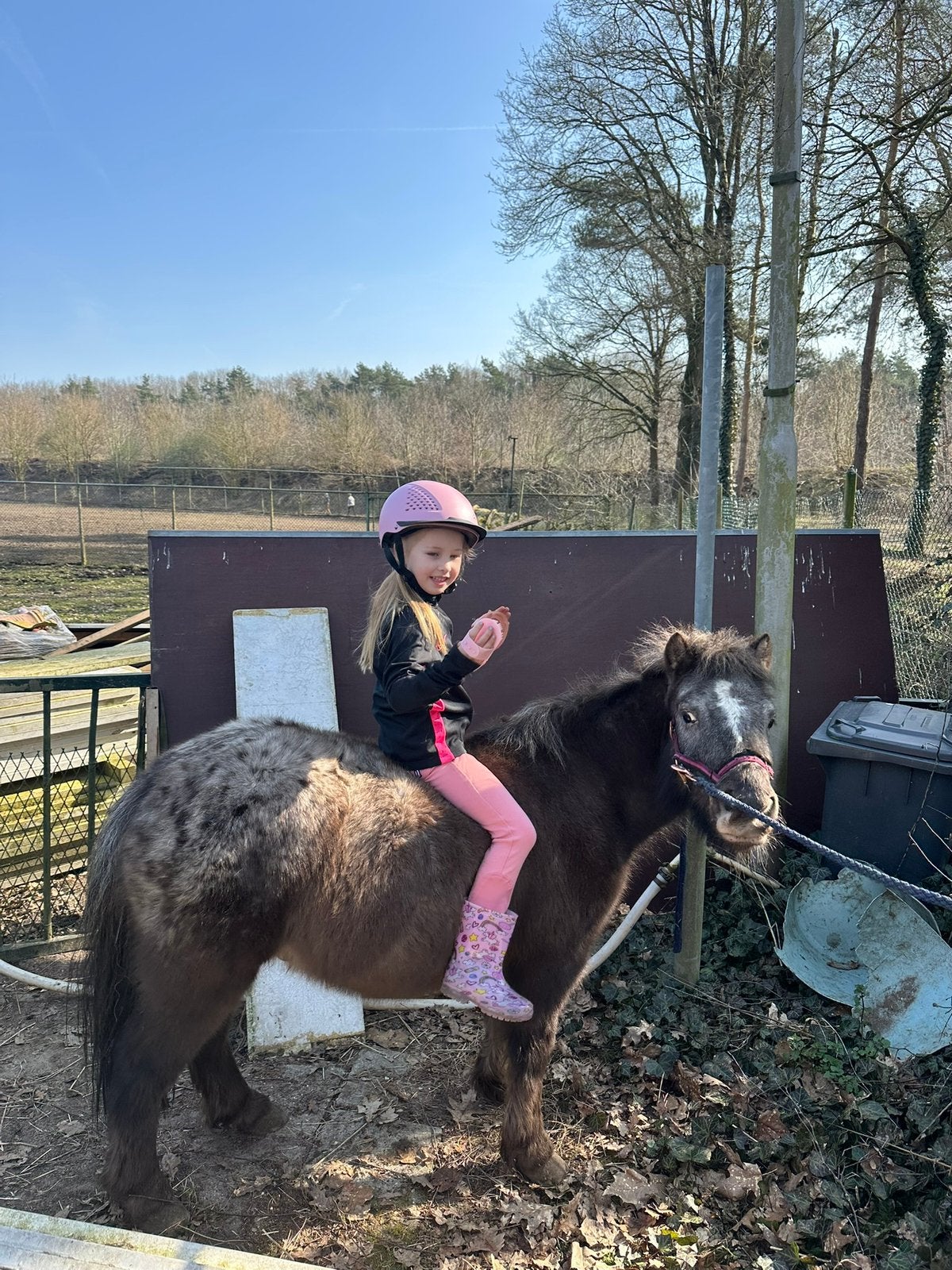 Mooie lieve pony Appaloosa shetlander, Dieren en Toebehoren, Pony's, Merrie, A pony (tot 1.17m), Dressuurpony, 3 tot 6 jaar