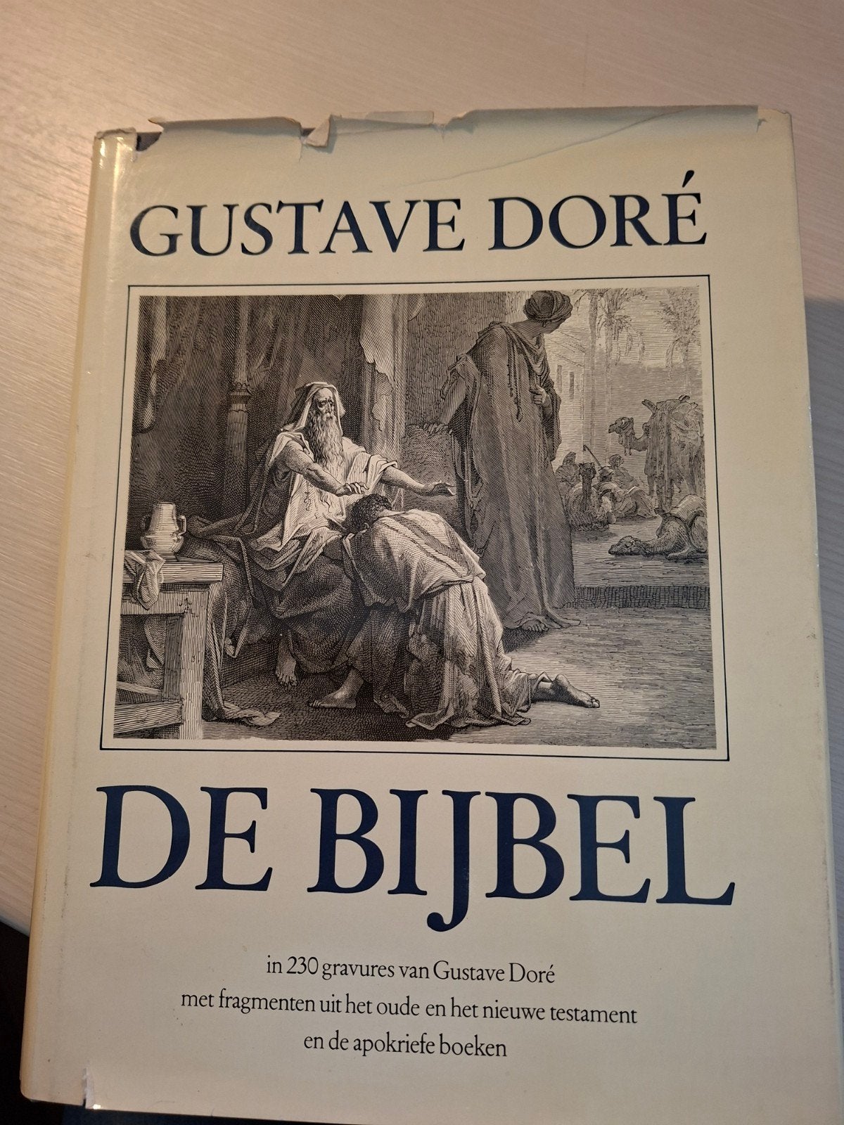 De Bijbel in 230 gravures van Gustave Doré, Boeken, Ophalen of Verzenden