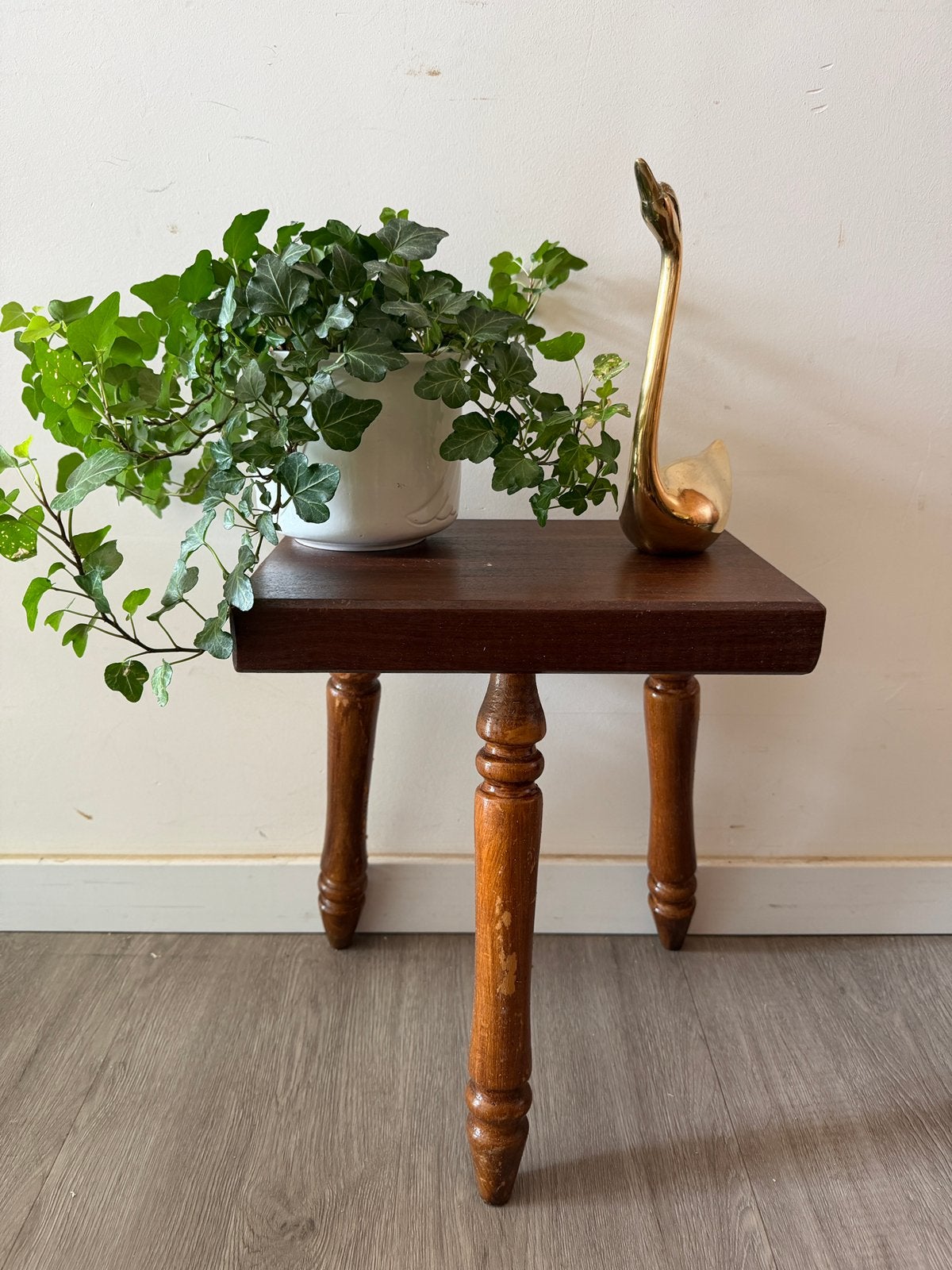 Vintage jaren 70 plantentafeltje
