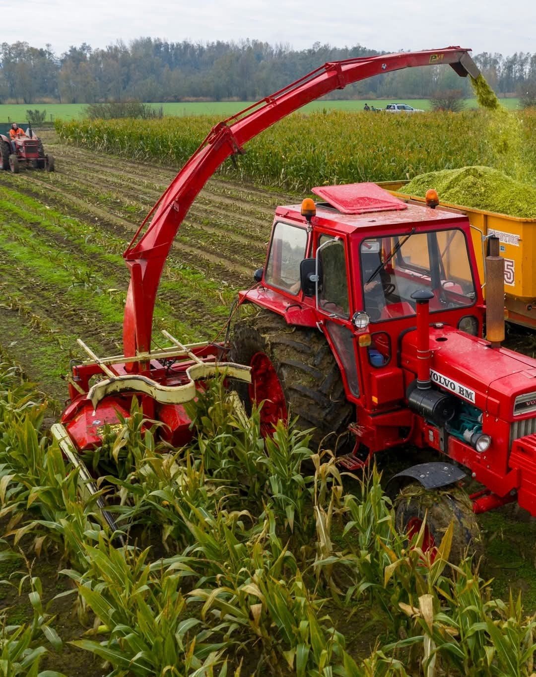 PZ MH 160 Maishakselaar, Ophalen, Veehouderij, Oogstmachine