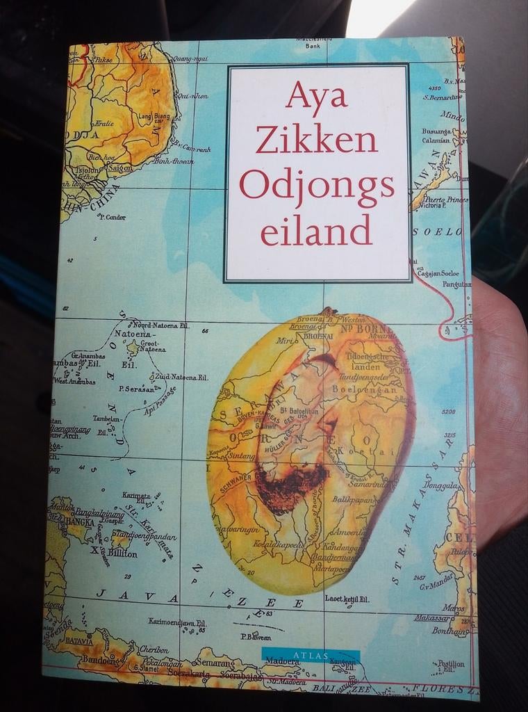 Aya Zikken - Odjongs eiland (roman), Boeken, Ophalen of Verzenden, Gelezen, Aya Zikken, Nederland