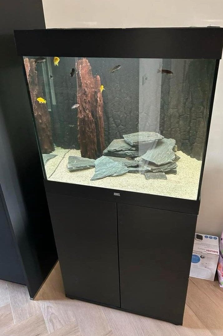Juwel Lido 200 compleet., Dieren en Toebehoren, Ophalen, Zo goed als nieuw, Leeg aquarium