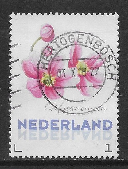 Persoonlijke, JB, Herfstanemoon (K0108), Ophalen of Verzenden