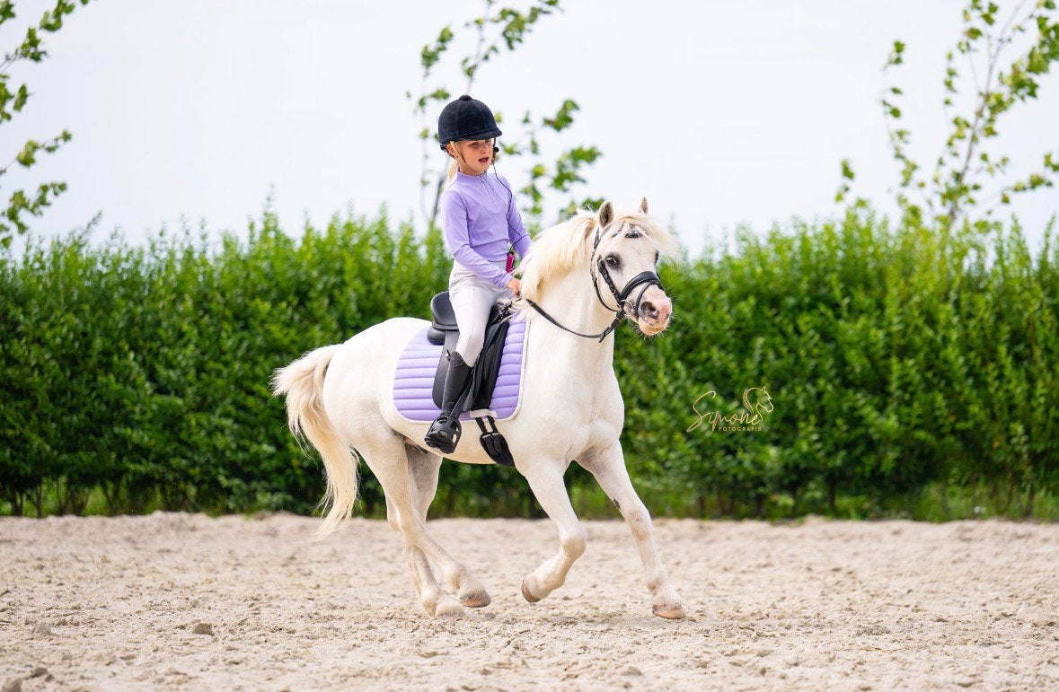Mega knappe Welsh ruin, Ruin, B pony (1.17m tot 1.27m), 11 jaar of ouder, Recreatiepony