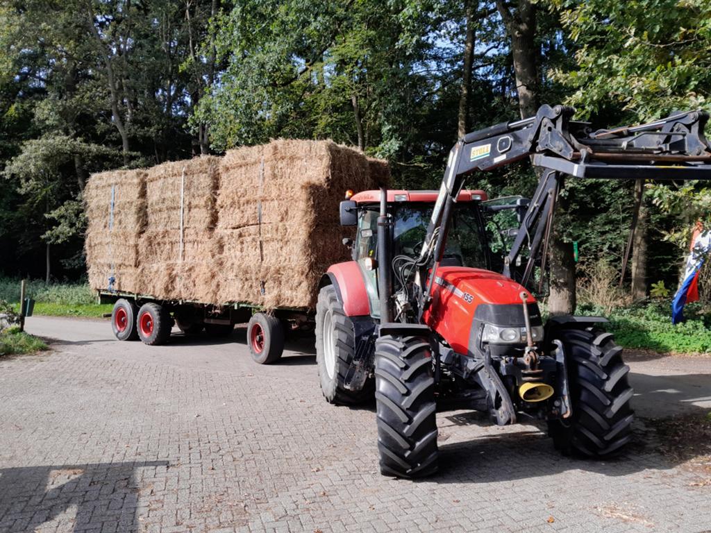 Strooisel balen te koop, Ophalen, Vee