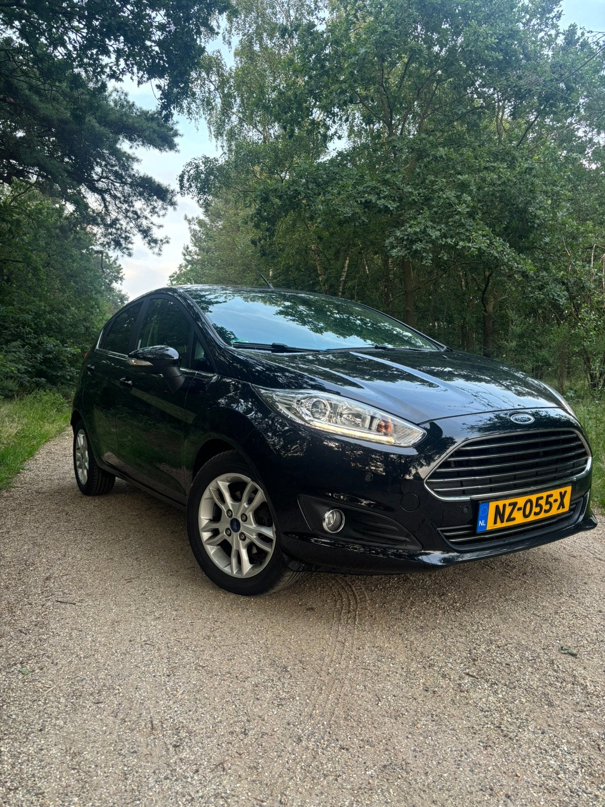 Ford Fiësta 1.0 Titanium 2015, Auto's, Ford, Particulier, Fiësta, ABS, Airbags, Airconditioning, Alarm, Automatische klimaatregeling