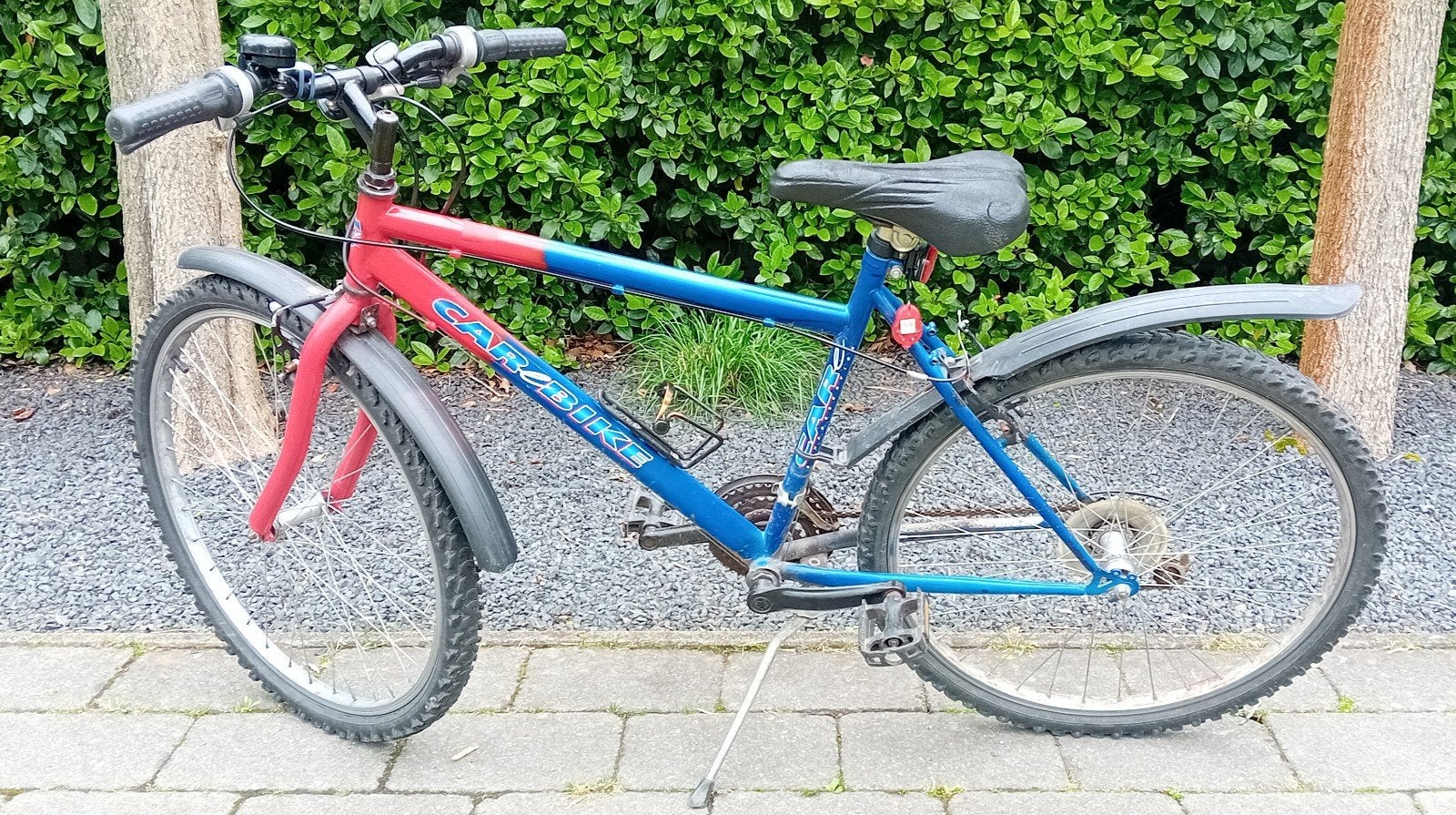 Mountainbike CaroBike, Gebruikt, 26 inch, Minder dan 49 cm, Meer dan 20 versnellingen